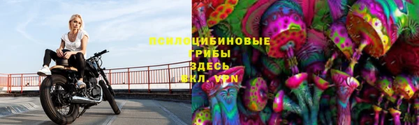 apvp Алзамай