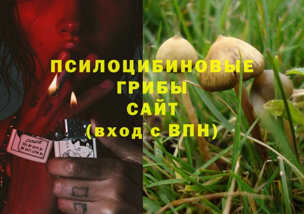 соль ск Алексеевка