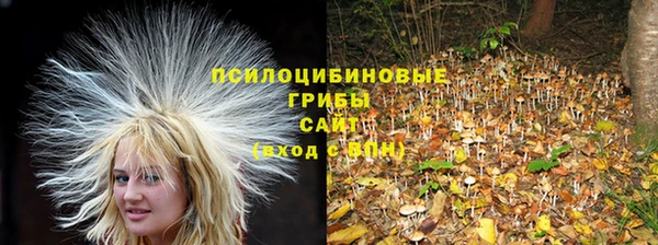 apvp Алзамай
