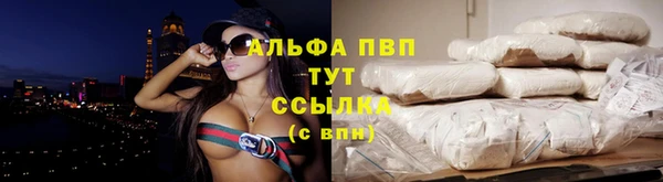 apvp Алзамай