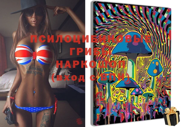 прущая мука Абаза