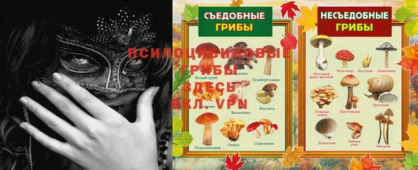 соль ск Алексеевка