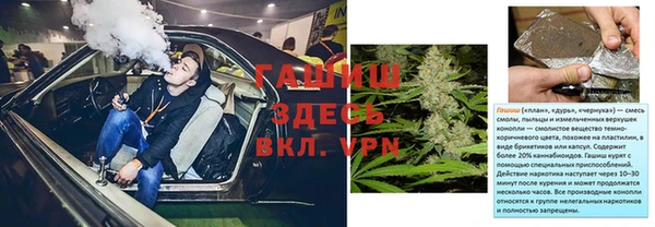 apvp Алзамай